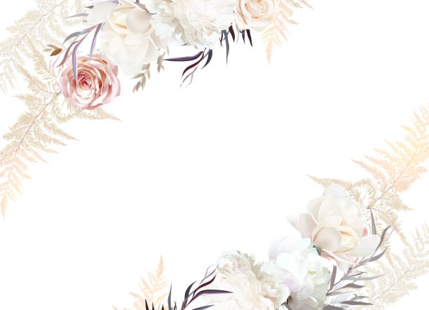 illustrazioni stock, clip art, cartoni animati e icone di tendenza di erba di pampa pastello, peonia avorio, magnolia cremosa, rosa polverosa, foglie secche d'argento. - magnolia flower beige white