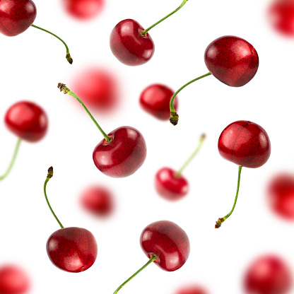 Falling sweet cherries isolated on white background.