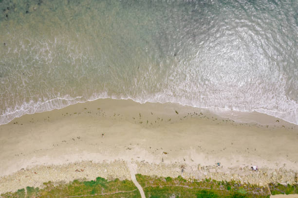 istock Aerial over beach in the Pacific Ocean 1325473749