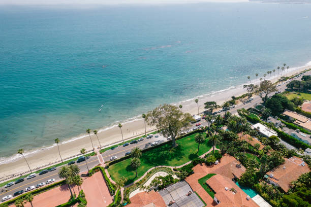 Aerial over palm-tree lined road along the Pacific Ocean