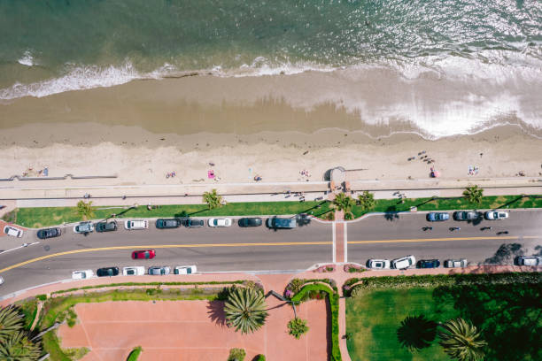 Aerial over palm-tree lined road along the Pacific Ocean
