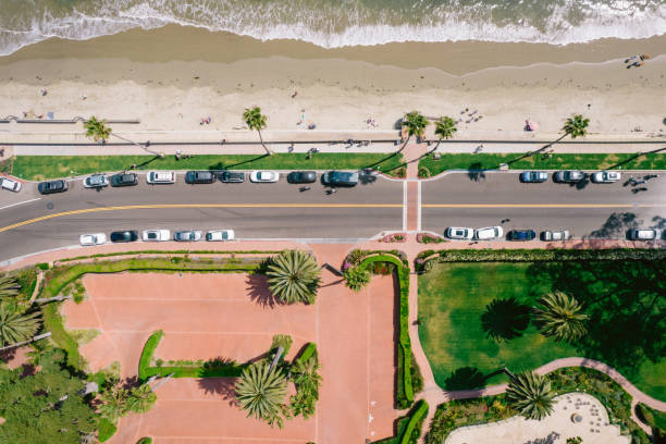 istock Aerial over palm-tree lined road along the Pacific Ocean 1325473767