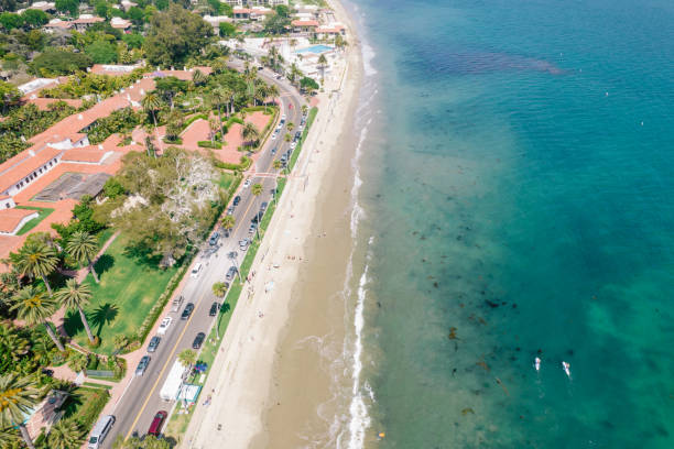 istock Aerial over palm-tree lined road along the Pacific Ocean 1325473782