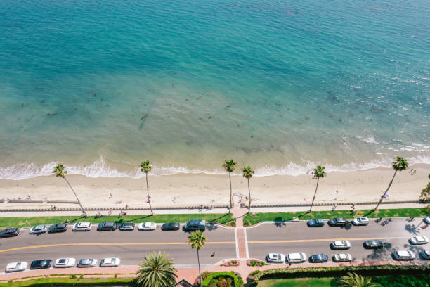 istock Aerial over palm-tree lined road along the Pacific Ocean 1325473791