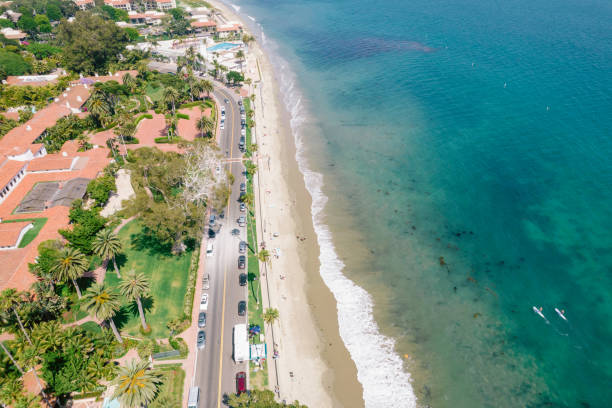 istock Aerial over palm-tree lined road along the Pacific Ocean 1325473793