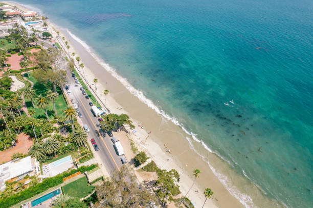 istock Aerial over palm-tree lined road along the Pacific Ocean 1325473795