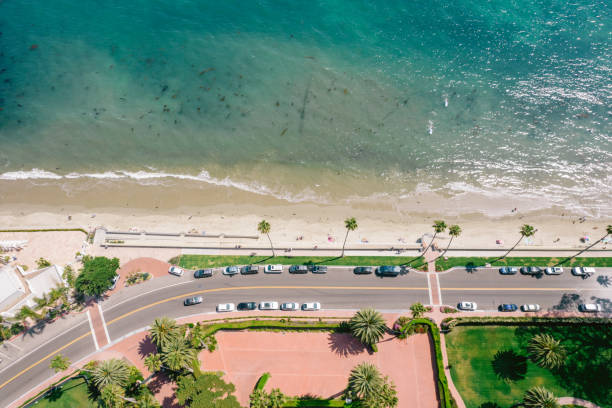 istock Aerial over palm-tree lined road along the Pacific Ocean 1325473796