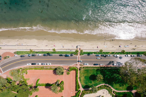 istock Aerial over palm-tree lined road along the Pacific Ocean 1325473799
