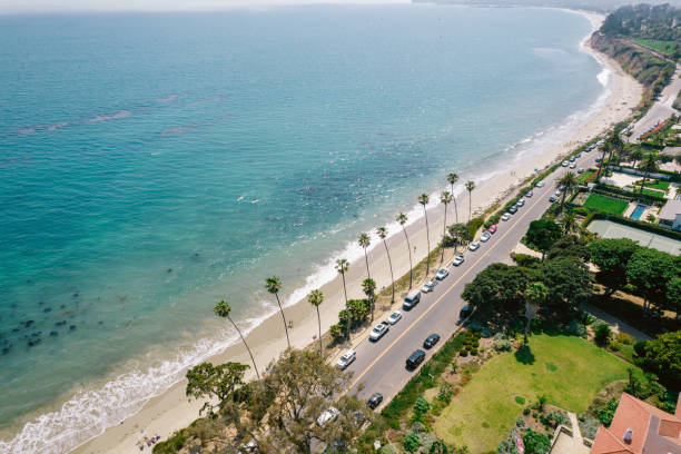 istock Aerial over palm-tree lined road along the Pacific Ocean 1325473806