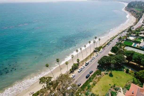 Aerial over palm-tree lined road along the Pacific Ocean