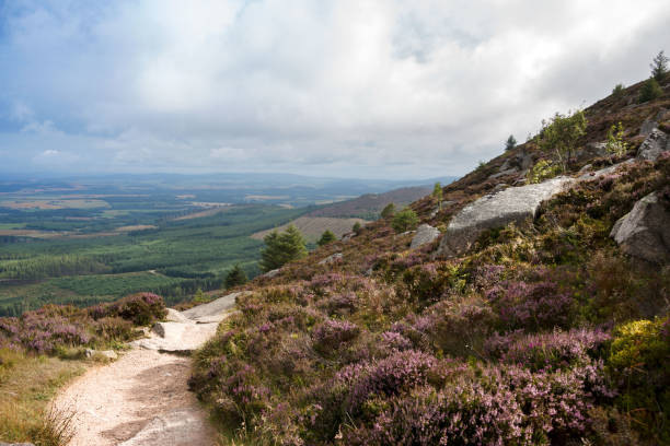 istock Landscape in Scottish Highlands 1325473933