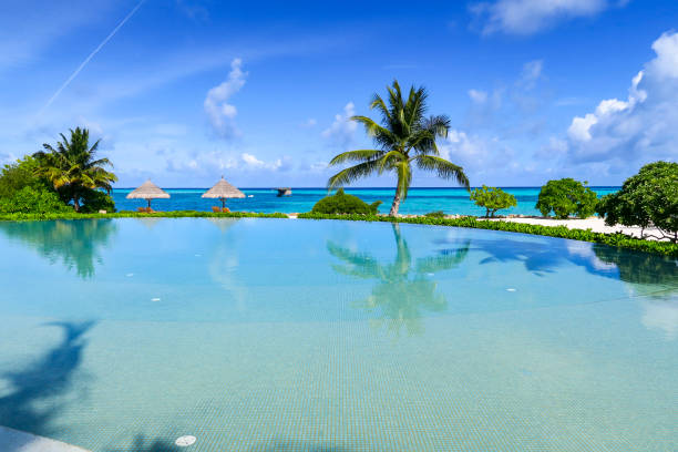 istock Infinity pool near beach, South Ari Atoll, Maldives 1325480698