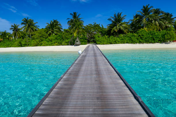 istock Wooden walkway across beach, South Ari Atoll, Maldives 1325480708