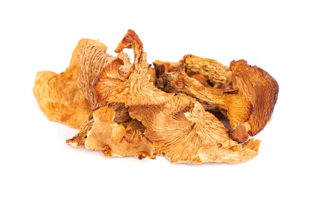 Dried chanterelle mushrooms, isolated on white background. Dried forest chanterelle mushrooms. Cantharellus cibarius. Close up. Dried chanterelle mushrooms, isolated on white background. Dried forest chanterelle mushrooms. Cantharellus cibarius. Close up cantharellus tubaeformis stock pictures, royalty-free photos & images