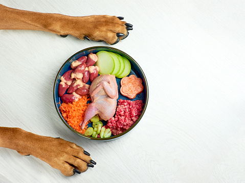 Natural raw organic dog meat food in bowl and dogs paws on white background with copy space.