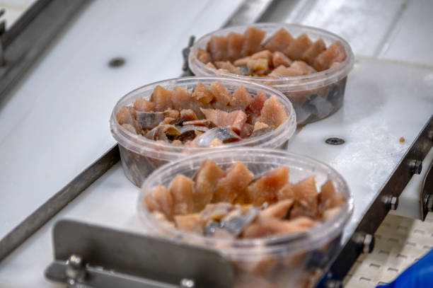 istock Pieces of herring fillet in plastic cans on a conveyor 1325498843