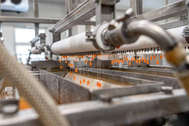 istock Machine for the production of artificial red caviar 1325498961