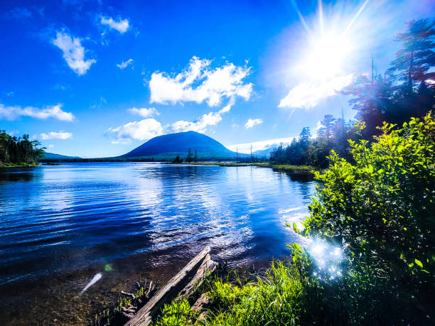 Beauty in Nature