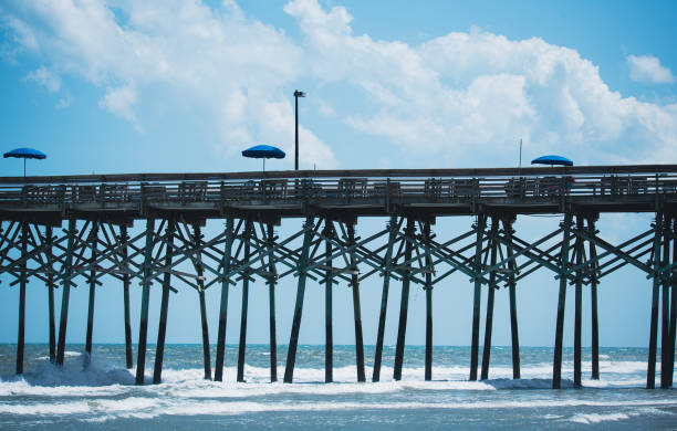 istock Pier at Garden City SC 1325508846