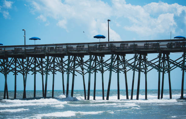 istock Pier at Garden City SC 1325508867