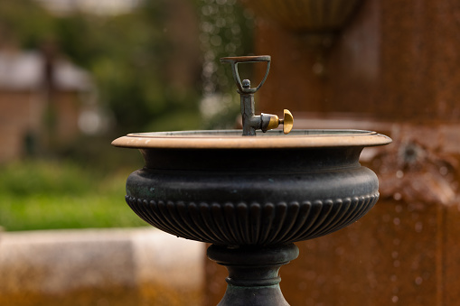 Drinking fountain with a nature scene behind.