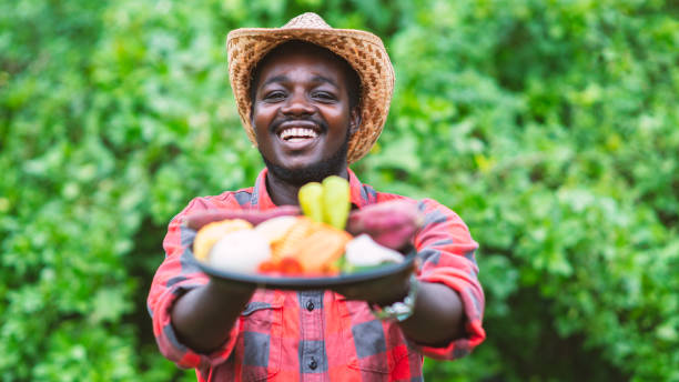Smile african farmer holding package of vegetables. Organic vegetables ready to serve in salad delivery service stock photo