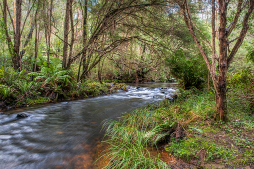Melbourne's iconic Yarra River at Warburton in Victoria in winter