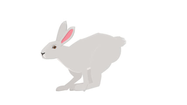 617 Rabbit Hopping Stock Videos and Royalty-Free Footage - iStock | Bunny,  Tortoise, Kangaroo