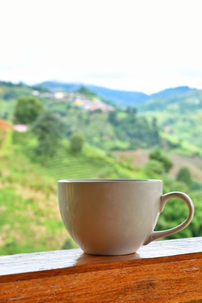 istock Coffee mug on wooden terrace. 1325526573