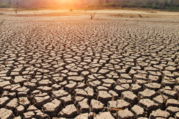 istock The drought land texture in Thailand. 1325528943