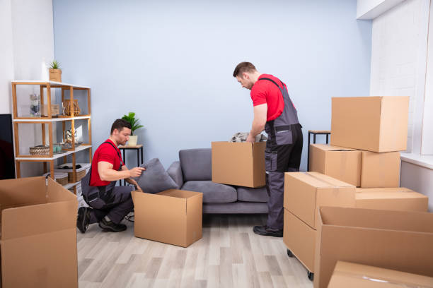 Men Loading The Cardboard Boxes During Moving stock photo