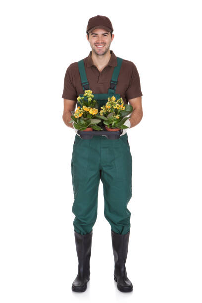 istock Happy young gardener holding flowers 1325529836