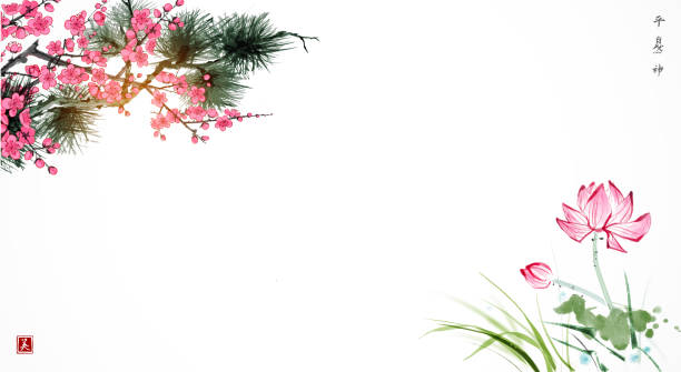 цветы лотоса, цветение сакуры и ветка сосны на белом фоне с местом для вашего текста. традиционная восточная чернильная живопись суми-э, у-с� - tree watercolor painting leaf zen like stock illustrations