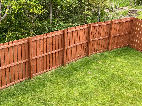 Wooden garden fence coated with medium oak colour paint