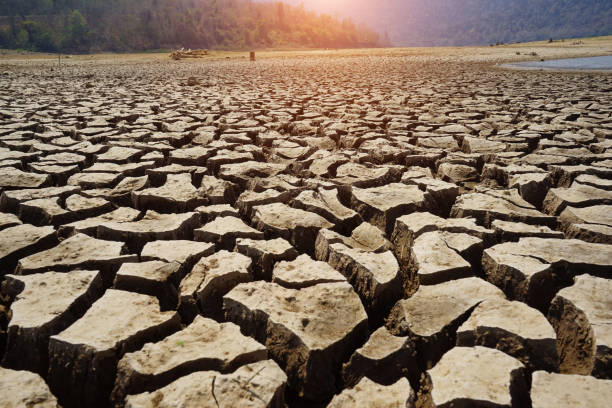 istock The drought land texture in Thailand. 1325531762