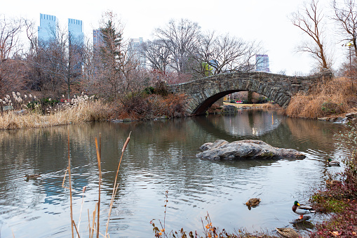 Small stone footbridge across narrow section of lake in a large public park in central Manhattan.