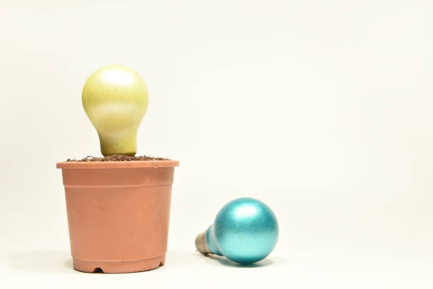 Yellow coloured light bulb planted in a flower pot with a green coloured light bulb lying beside it Image of a yellow painted bulb planted in the soil in a brown coloured flower pot with a green painted bulb lying besides it, depicting selection and growth of ideas, innovation and creativity. sabby stock pictures, royalty-free photos & images