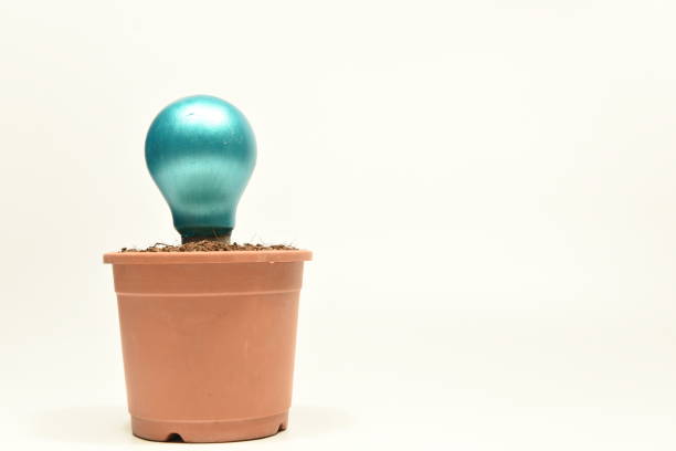 A green coloured light bulb planted in a flower pot Image of a green painted bulb planted in the soil in a brown coloured flower pot depicting selection and growth of ideas, innovation and creativity. sabby stock pictures, royalty-free photos & images
