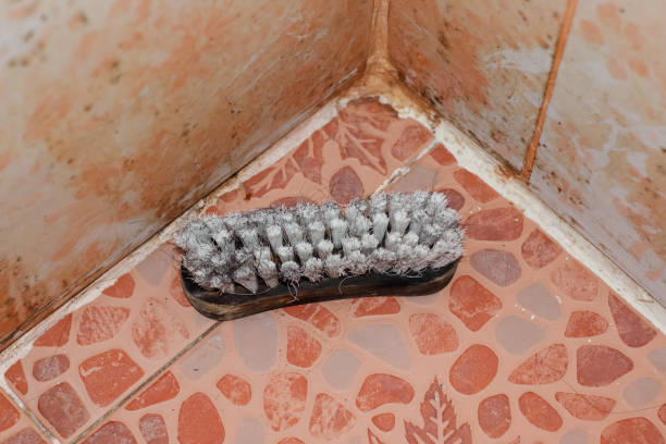 istock Brush and dirty toilet wall 1325539209