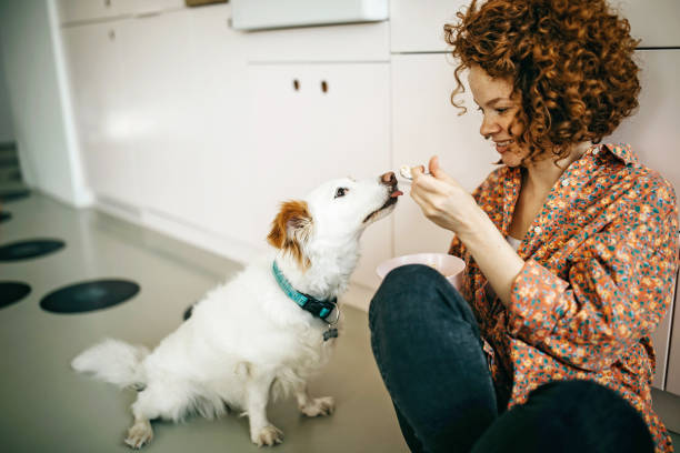 istock Beautiful redhead eating breakfast on the kitchen floor 1325539647