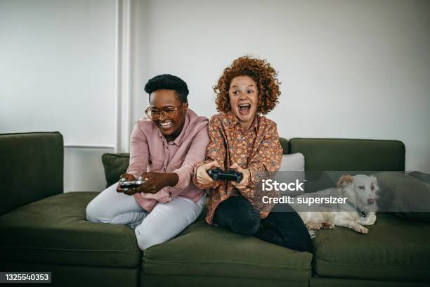 We Enjoy Playing Games With Our Dog Stock Photo - Download Image Now - Video Game, Movie, Gamer