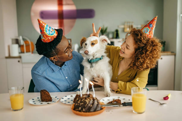 istock Two friends celebrate dog's birthday 1325540633