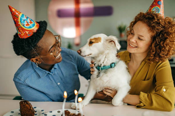 istock Two friends celebrate dog's birthday 1325540653