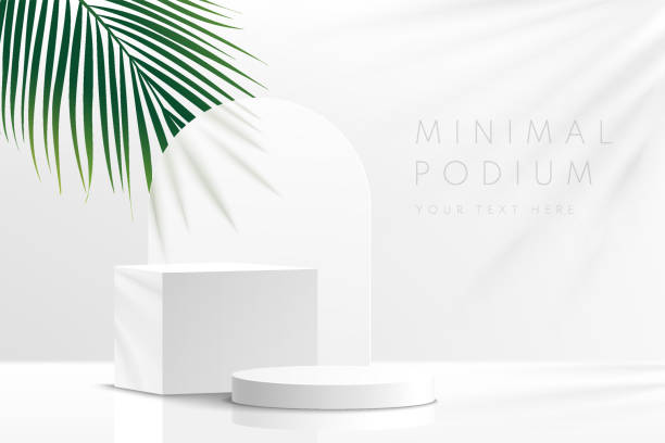 Modern white and gray geometric pedestal podium with green palm leaf. Platform in shadow. Abstract white and gray minimal wall scene. Vector rendering 3d shape cosmetic product display presentation. Modern white and gray geometric pedestal podium with green palm leaf. Platform in shadow. Abstract white and gray minimal wall scene. Vector rendering 3d shape cosmetic product display presentation. podium stock illustrations