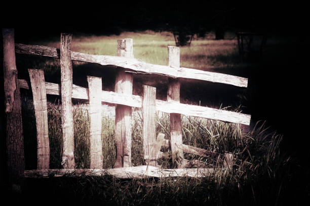Close up shot of an old split rail wooden fence. The wood is very old and weathered. you can see the wood grain and texture. In the background you see a green meadow and then some woods behind that. The grass has yellow flowers, but the background is out of focus.