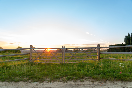 A new wooden fence for the horses' pasture