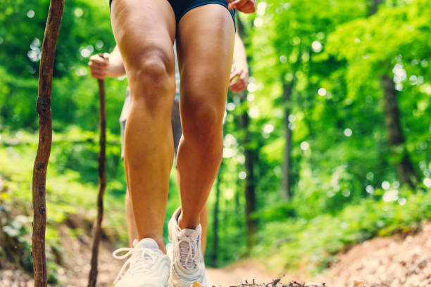 istock Couple walking the forest trail 1325552272