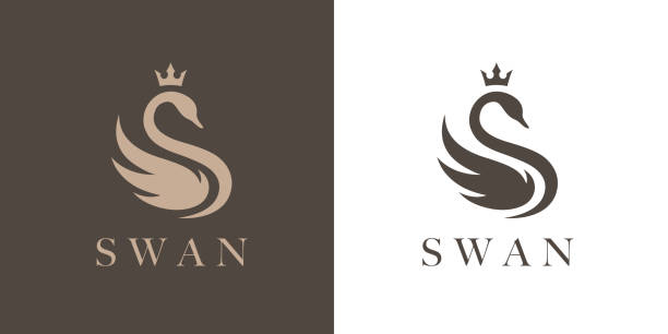 elegante schwanen-ikone - swan stock-grafiken, -clipart, -cartoons und -symbole