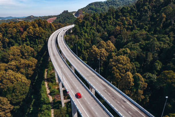 Highway among flowering trees