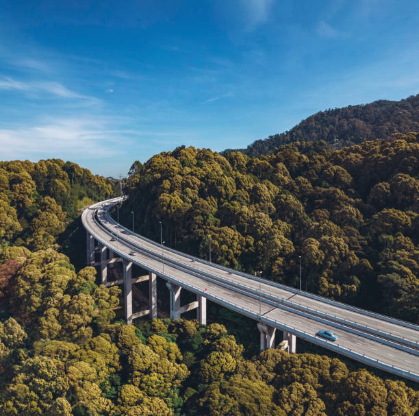 Highway among flowering trees